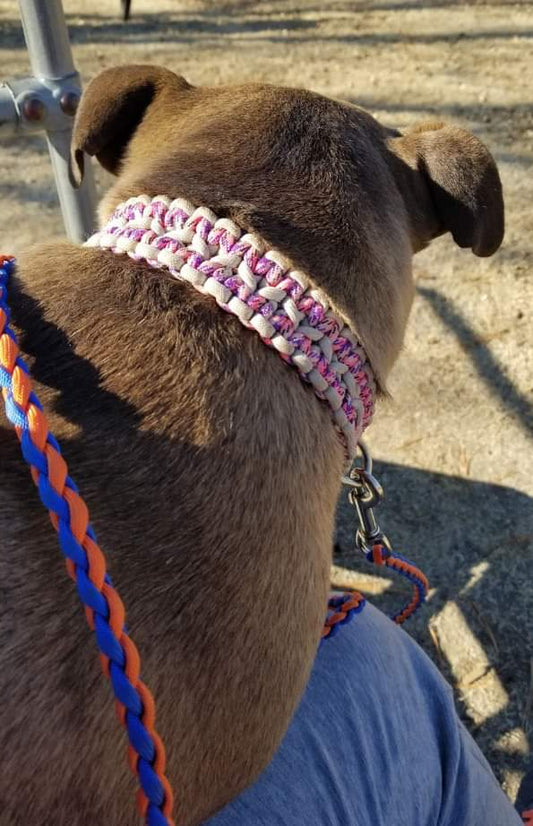 Double cobra dog collar