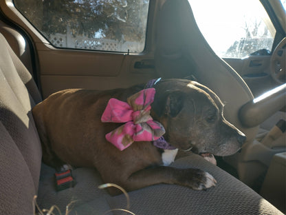 RTS dog bows and bow ties